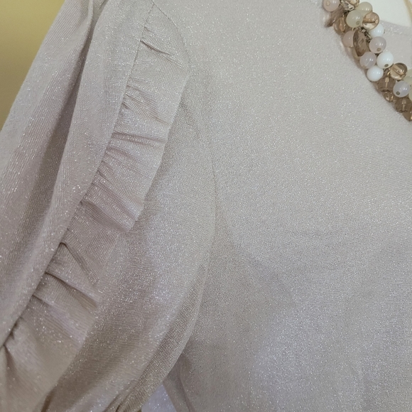 NWT W5 beige shimmer puff short sleeve blouse top womens size small - Picture 2 of 6